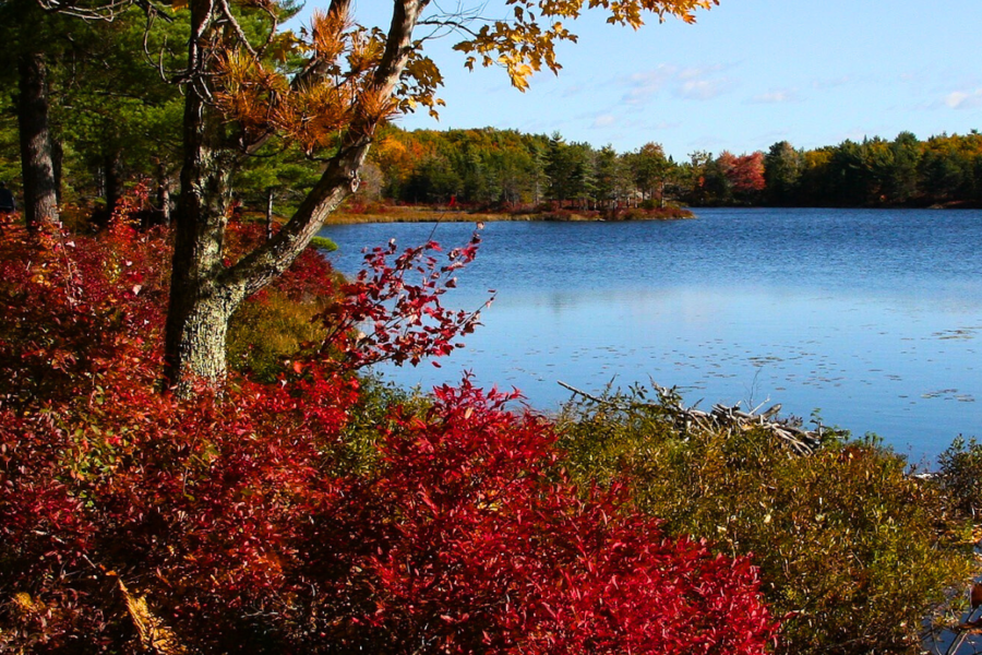 St. Croix NHSC Story - Imagery of Maine